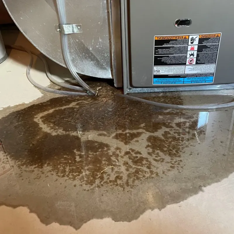 Pipe Burst and Leak Restoration in Yountville, CA